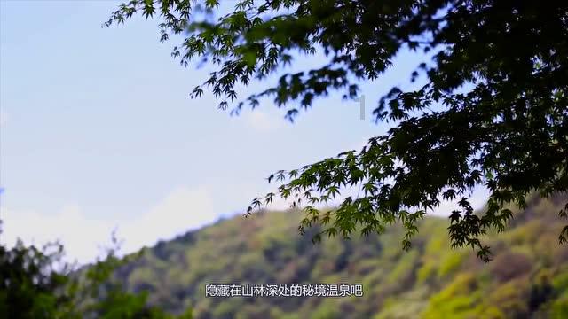 机智问答-专业解答您的问题,人类的命运在谁的手里掌握着?有问必答